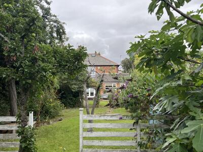Picture 21